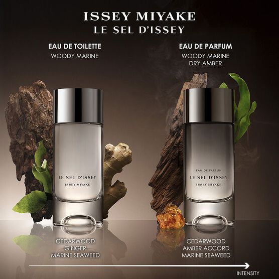 PERFUME ISSEY MIYAKE LE SEL DISSEY MASCULINO EAU DE PARFUM